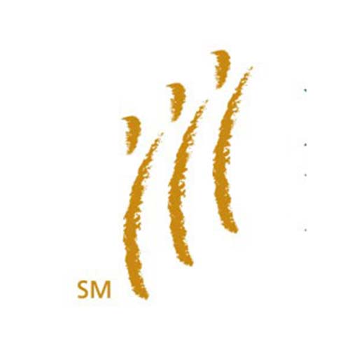 logo-founder-SM