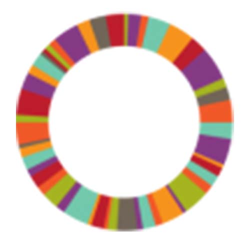 logo-slider-AfricanAmLeadership
